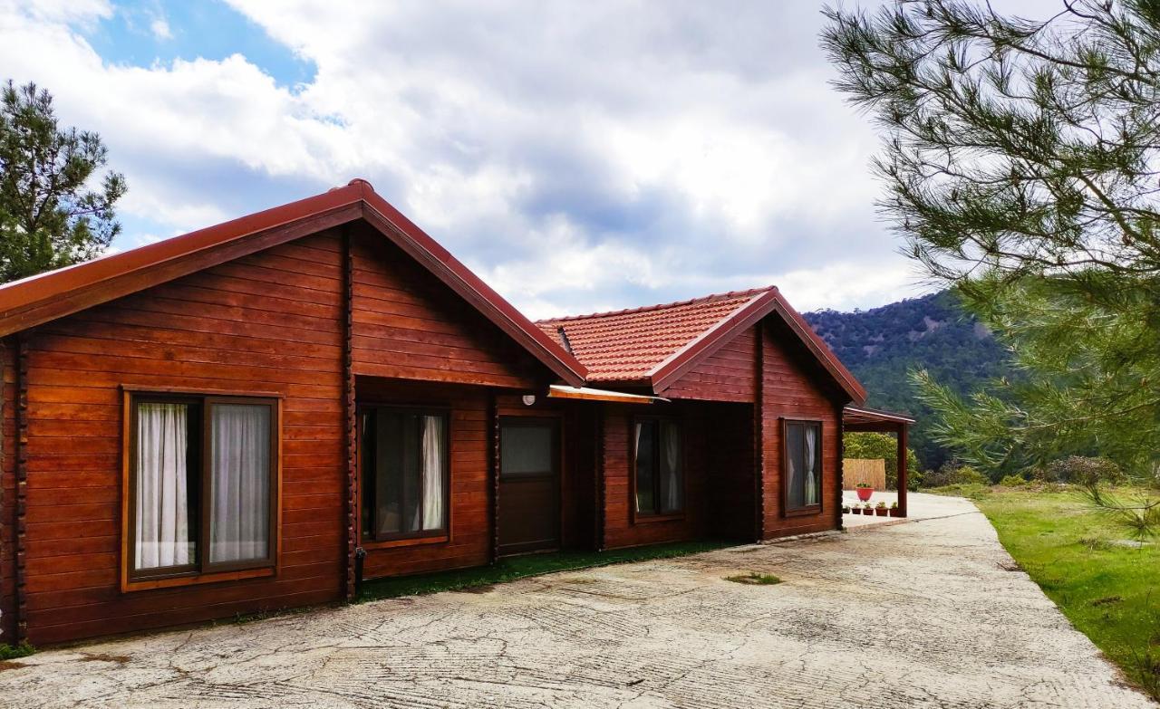 The Cosy Mountain Cabin With Stunning Views Near Troodos Kato Amiandos Exterior foto