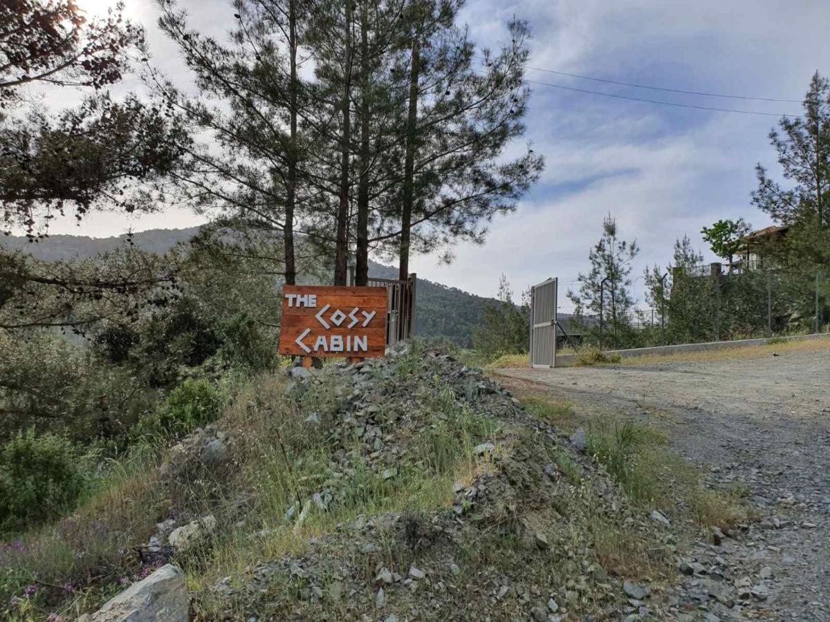 The Cosy Mountain Cabin With Stunning Views Near Troodos Kato Amiandos Exterior foto