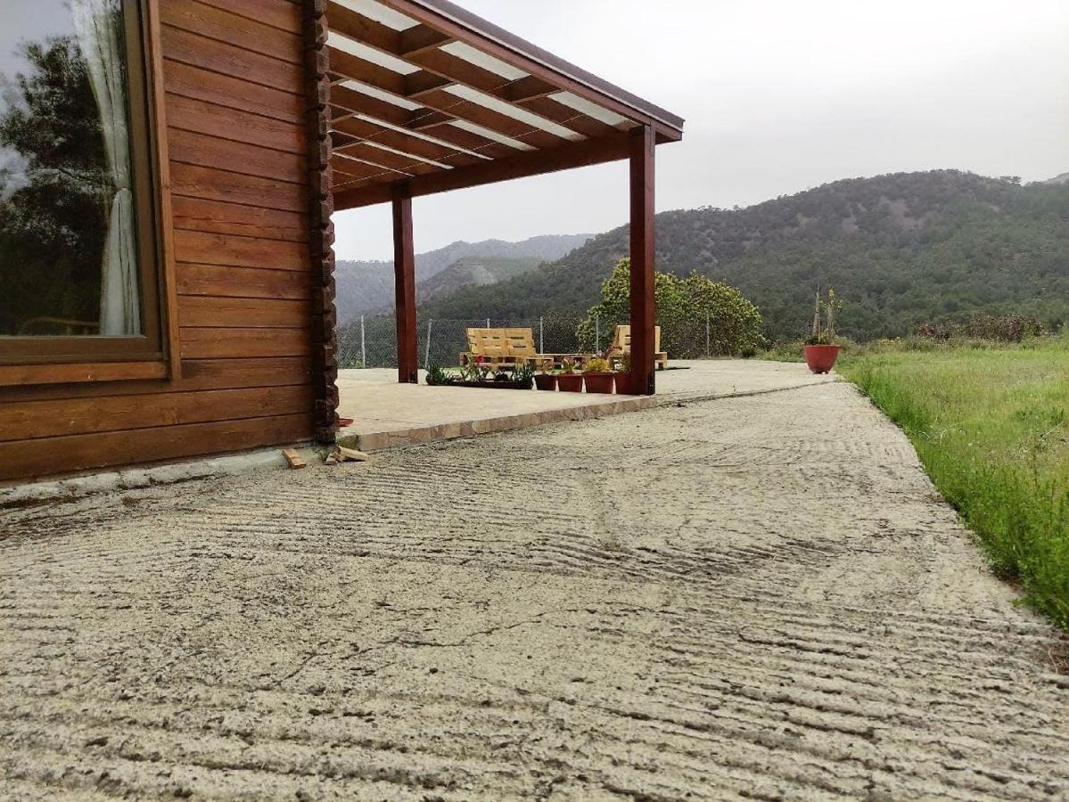 The Cosy Mountain Cabin With Stunning Views Near Troodos Kato Amiandos Exterior foto
